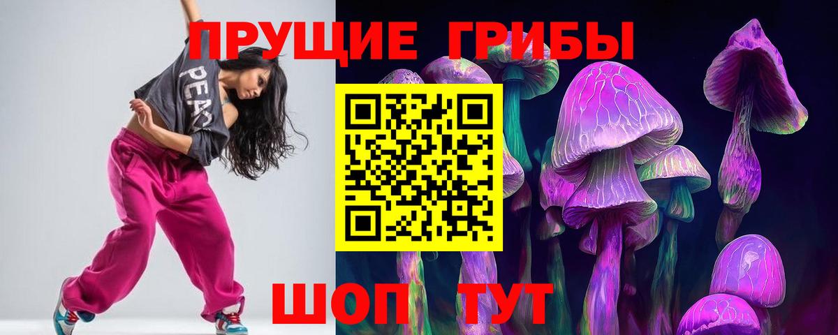 Псилоцибиновые грибы мицелий Южно-Сахалинск